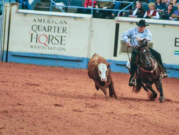 In 2004, they were the world champions in amateur working cow horse. I was just kind of shocked when he won, she says. It wasn t a fluke.