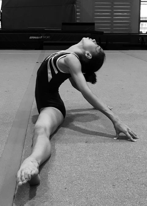 Introduction Gymnastics Clubs and Schools in Singapore currently utilise a variety of program and curriculums for training and competition in Women s Artistic Gymnastics (WAG).