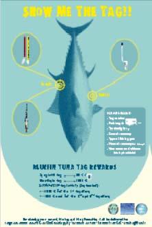 June - Meeting to apply the Ecological Risk Analysis to shortfin mako sharks and sharks stock Assessment (Isurus oxyrinchus), June 11-15, Portugal.