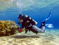 Sport divers wear air tanks filled with a mixture of gases for safety.