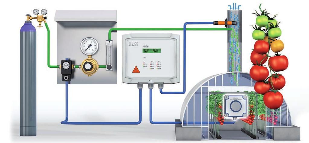APPLICATION EXAMPLE System operating with pure ethylene Certain application processes do not allow the use of premixed gases. SCENTY control EX is the solution for operation with flammable gas.