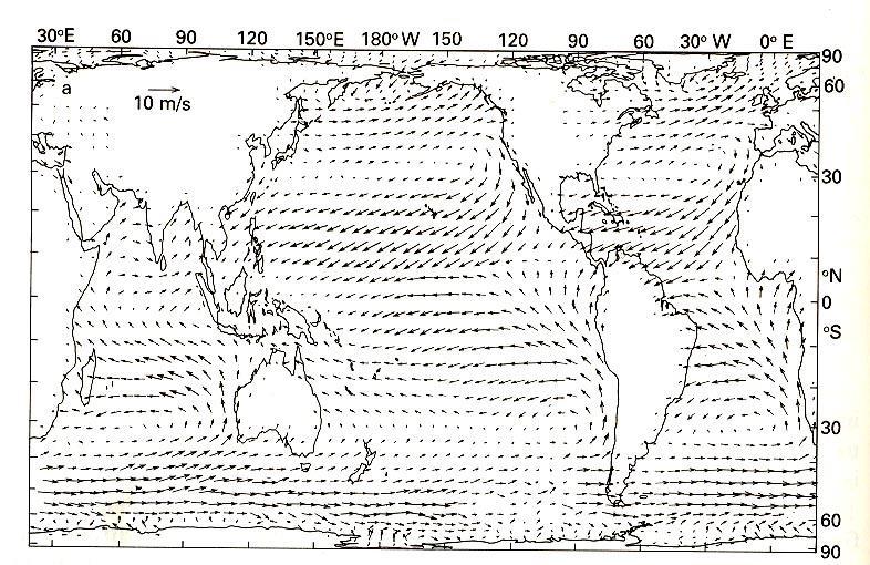 Large-Scale Wind Patterns Annual average trade wind speed is 6 m/s (13.5 mph) at 20 N.