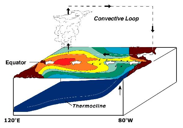 El Niño Southern Oscillation Walker Cell Low Pressure High