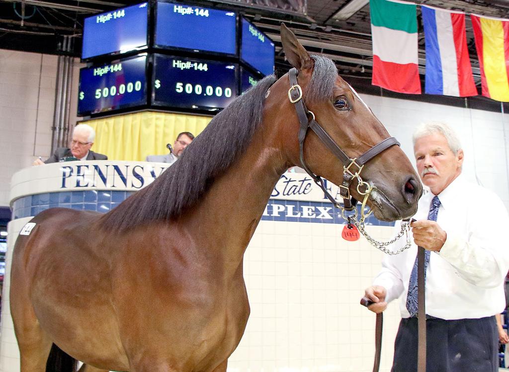 2 NEW JERSEY SUCCESS AT HARRISBURG SALE One year after nearly reaching the $10-million mark at the Standardbred Horse Sale, yearlings raised at New Jersey farms exceeded that figure at November s