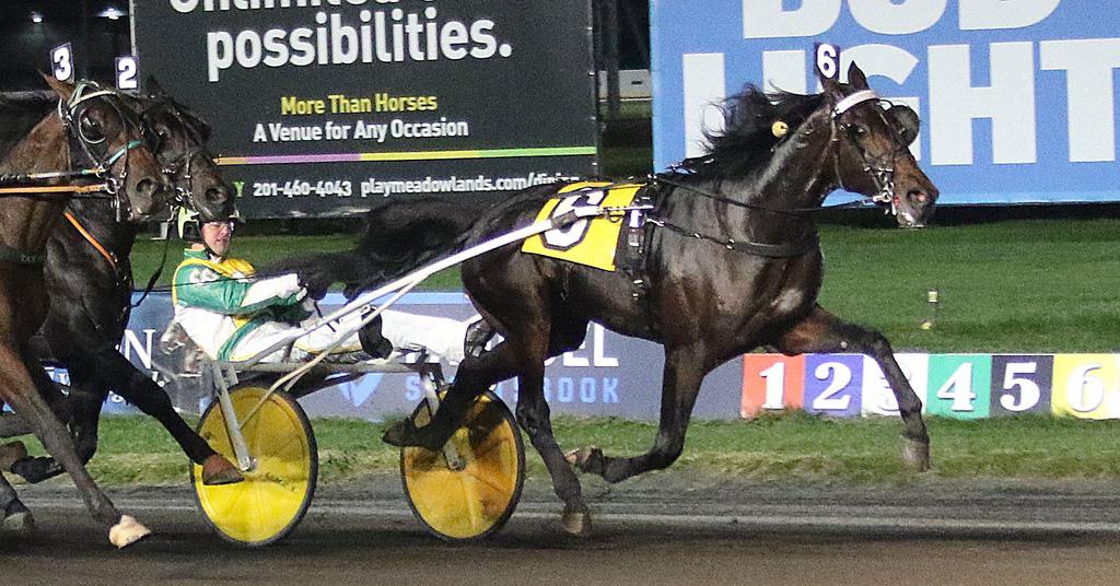 HURRIKANE EMPEROR 2018 SBOA HORSE OF THE YEAR Hurrikane Emperor was unanimously chosen as the SBOA Horse of the Year by the Standardbred Breeders and Owners Association of New Jersey.