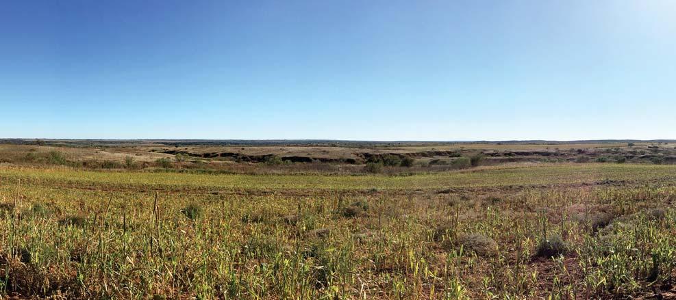 The ranch is comprised of an exceptional blend of rolling native grasslands and very productive cultivated farmland.