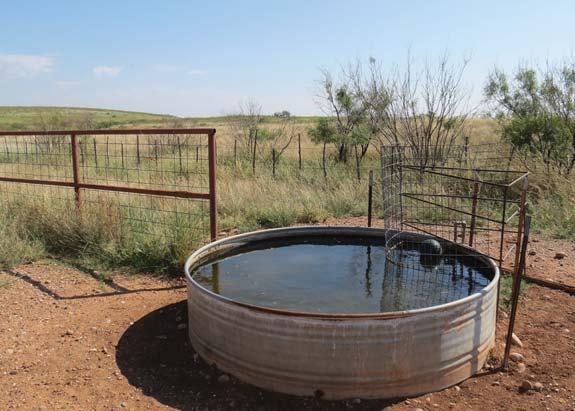 This well has not been utilized since the family stopped raising cotton many years ago.