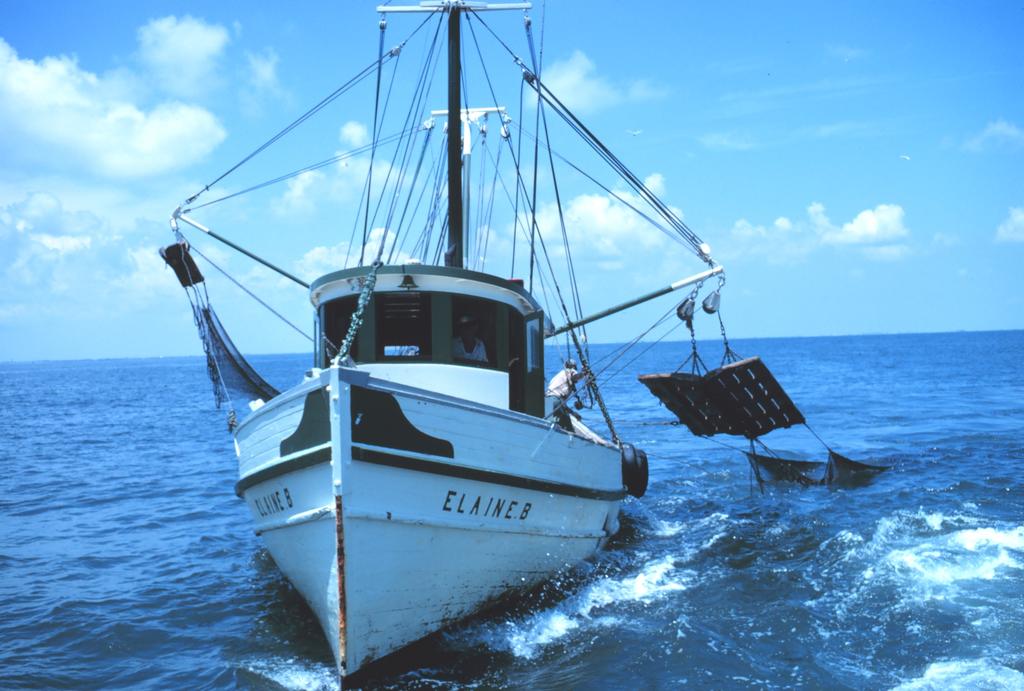 1 ECONOMIC ACTIVITY ASSOCIATED WITH COMMERCIAL FISHING ALONG THE TEXAS GULF COAST Joni S.