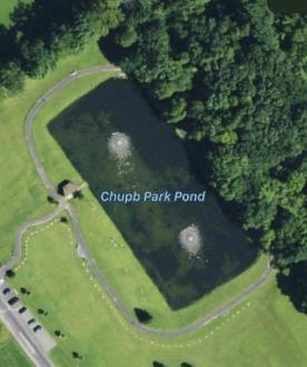 noticeably absent from the survey; therefore, it is recommended to stock fingerlings (and possibly catchables) in the future. (Crouse) Chub Park Pond (Morris) This 1.