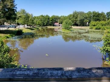 Mountain Valley Park Pond (Morris) - This 1.5- acre pond is an onstream impoundment situated along the Trout Production section of the North Branch of the Raritan River.