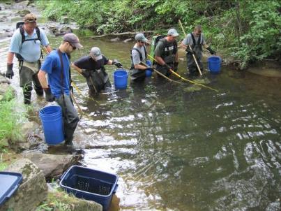 SURFACE WATER CLASSIFICATION Surface Water Classification Assessments Trout are useful bioindicators of stream health, as excellent water quality and habitat are necessary for their survival and