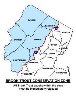 Wild Brook Trout Assessment Anthropogenic landscape changes and past management practices have negatively impacted Brook Trout, New Jersey s only native trout species.