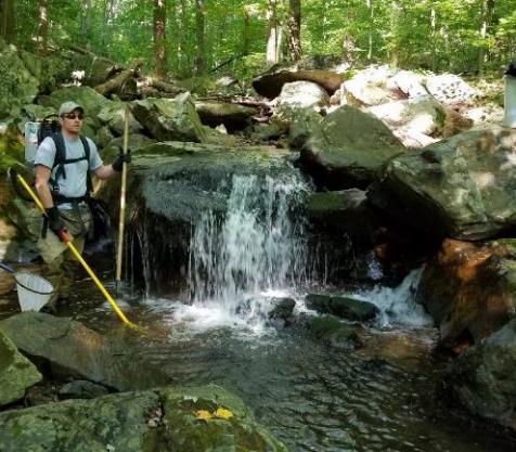 Rinehart Brook (Morris) - Brook Trout Restoration Project A Brook Trout restoration project was initiated on Rinehart Brook, a tributary to the Black River within Hacklebarney State Park in 2017.