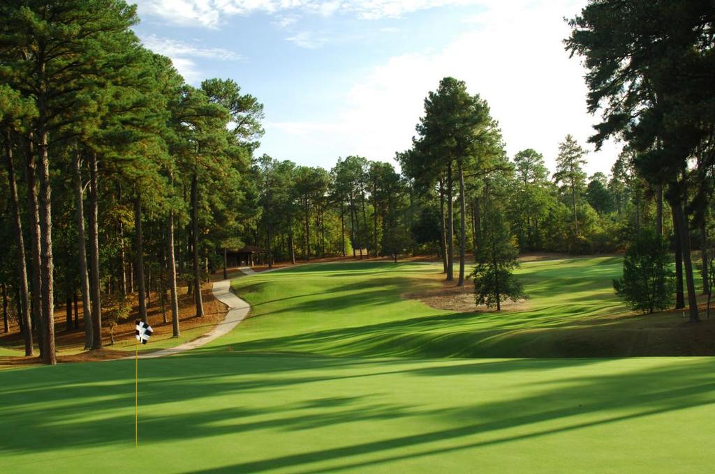 6. Pinehurst No. 2 Pinehurst, North Carolina: $375 The Pinehurst Golf Club contains eight golf courses on its grounds, and each has its own unique charm and challenges. Pinehurst No. 2 is often ranked as one of the world s top 10 courses; but the same can be said about Pinehurst No.