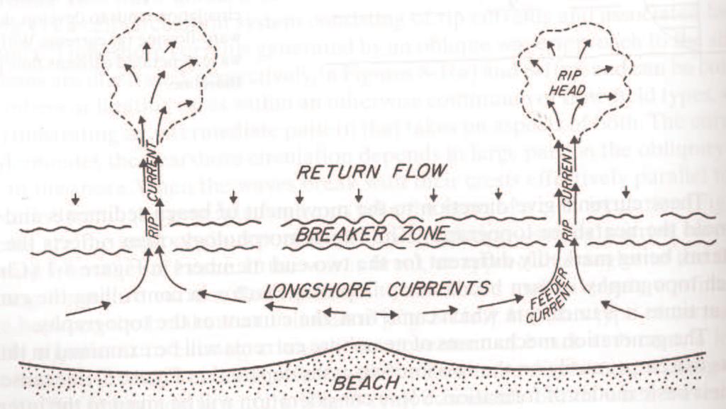 In case of rip currents Sediment is stirred by gravity waves, transported by currents Skewed waves only play minor (onshore) role in between the rip currents Other mechanisms not too important