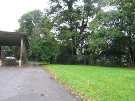 area to north of the Mardyke 23: View
