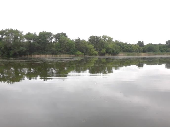 Magda Lake Description Magda Lake was surveyed on June 26, 2018. The lake is situated next to Highway 169 and several houses.