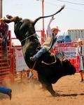 Deadline for TNLS Rodeo Try-outs All 4-H members interested in trying out for the TNLS Rodeo must do this.