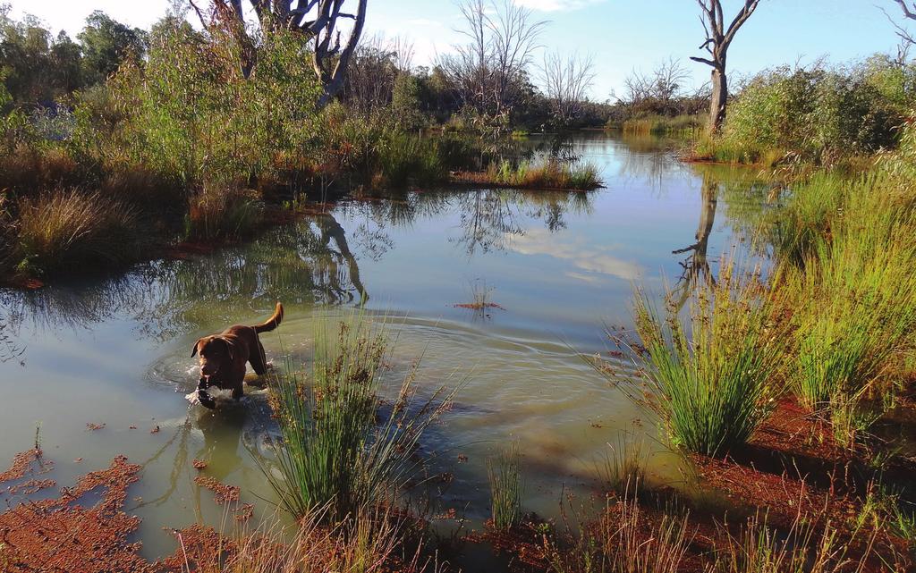 South Australia to have ethical and responsible hunting programs that deliver environmental, social, cultural and economic benefits for all South Australians.