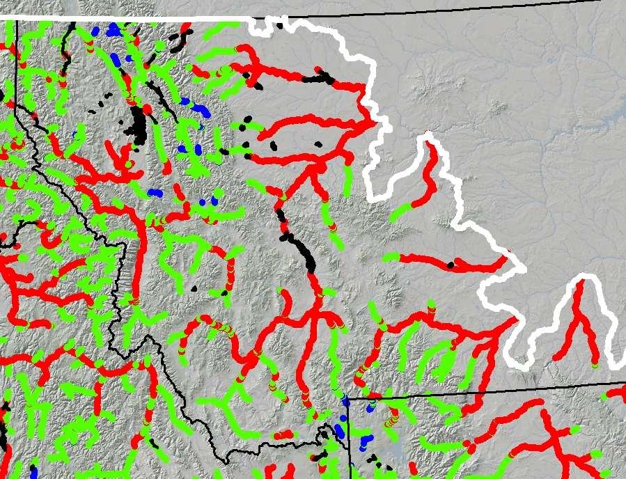 Thermal Habitat Distributions for Brown & Rainbow Trout in Montana Rivers +2ᵒC At risk rivers: Bitterroot Madison Lower BlackFoot Middle Yellowstone Big Hole Upper Clark Fork River kilometers that