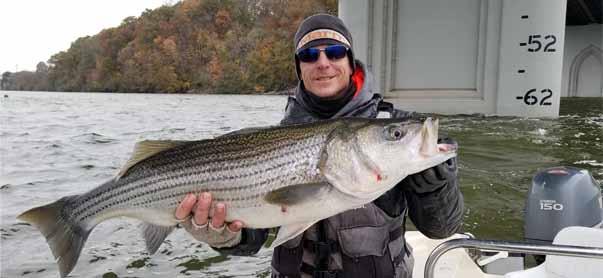 We are a FULL TIME guide service, targeting ALL east Tennessee species: Trophy Striper, Trout, Catfish, Bass, Crappie, White bass, Sauger and