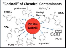 The chemicals last forever, and can
