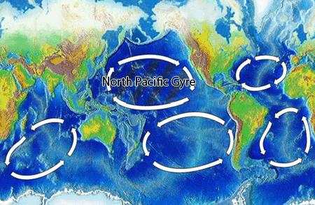 There are 5 ocean gyres, with the Pacific