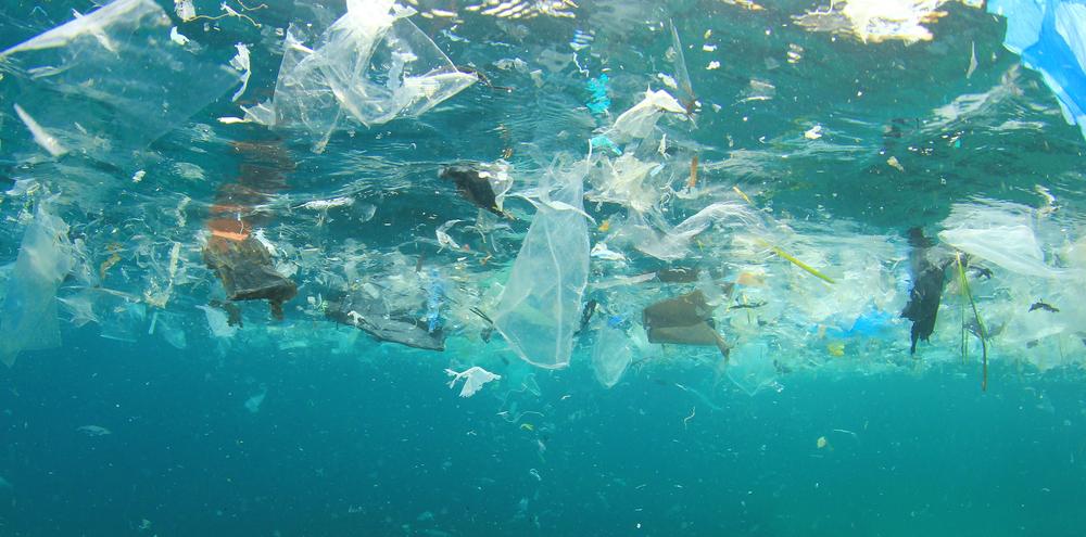 As floating plastic degrades, it turns into microplastics that are suspended in ocean waters.