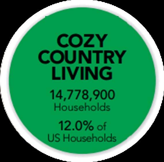 LifeMode Segment: Cozy Country Living Cozy Country Living Median Age 45.2 Median Household Income $58,600 Median Net Worth $173,300 Diversity Index 26.9 Home Ownership Rate 80.