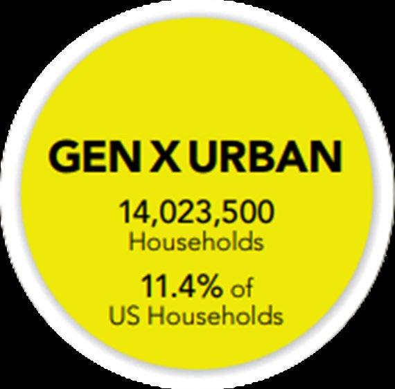 LifeMode Segment: GenXUrban GenXUrban Median Age 43.7 Median Household Income $62,600 Median Net Worth $169,400 Diversity Index 41.7 Home Ownership Rate 74.2% Average Household Size 2.