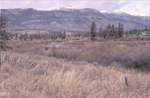 Fish Creek Private Land - Requested by Crescent H Ranch and Tom Rossetter (2