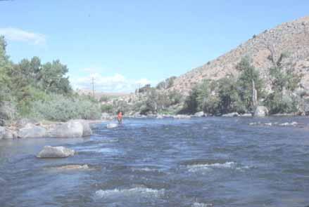 Powell Cody Dubois Meeteetse Lander Wind River 1989 priority Worland date, issued in 1997 102 cfs Thermopolis Oct