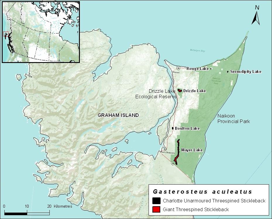 Figure 6. Distribution of native populations of the Giant and Unarmoured Threespine Sticklebacks in Canada. Current and historical distributions are identical, as are global and Canadian ranges.