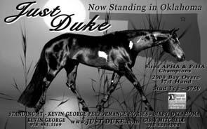 SSA LOT NO. 52 Bay Overo JUST DUKE APHA 609349 Sire: Showem Off Sam Dam: Switchy Switch 2011 World Champion Hunter Halter Ptha at 11 years old. Duke has produced World Champions with limited breeding.