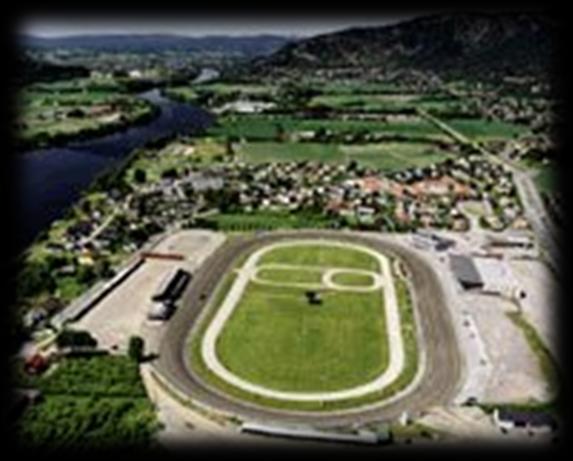 The Tracks organize the daily Sport The Sport owns & runs 11 Trotting Tracks and 1 Gallop Track The Tracks are organized as Limited companies (Ltd) and
