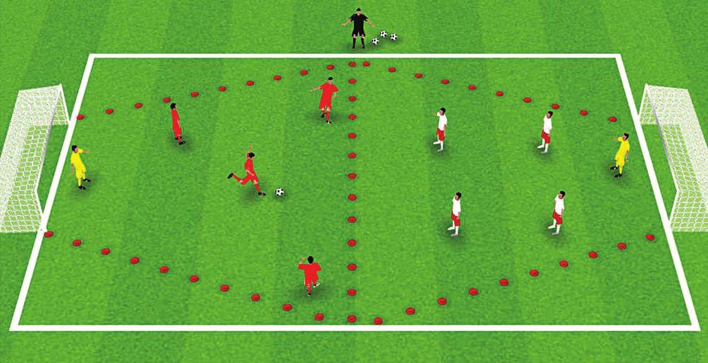 SMALL-SIDED GAMES SMALL-SIDED GAMES SHOOTING ACTIVITY 2: SHOOT THE DISTANCE 30 X 20 METRES METERS Eight players, in 2 teams; plus 2 goalkeepers.