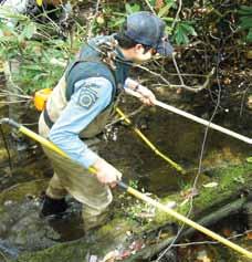 Commission fisheries biologist conducting a stream survey.