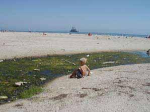 The Top 10 Beach Bummers 1. valon Harbor Beach on Catalina Island (Los ngeles County) 2. Cowell Beach at the wharf (Santa Cruz County) 3. Cabrillo Beach harborside (Los ngeles County) 4.