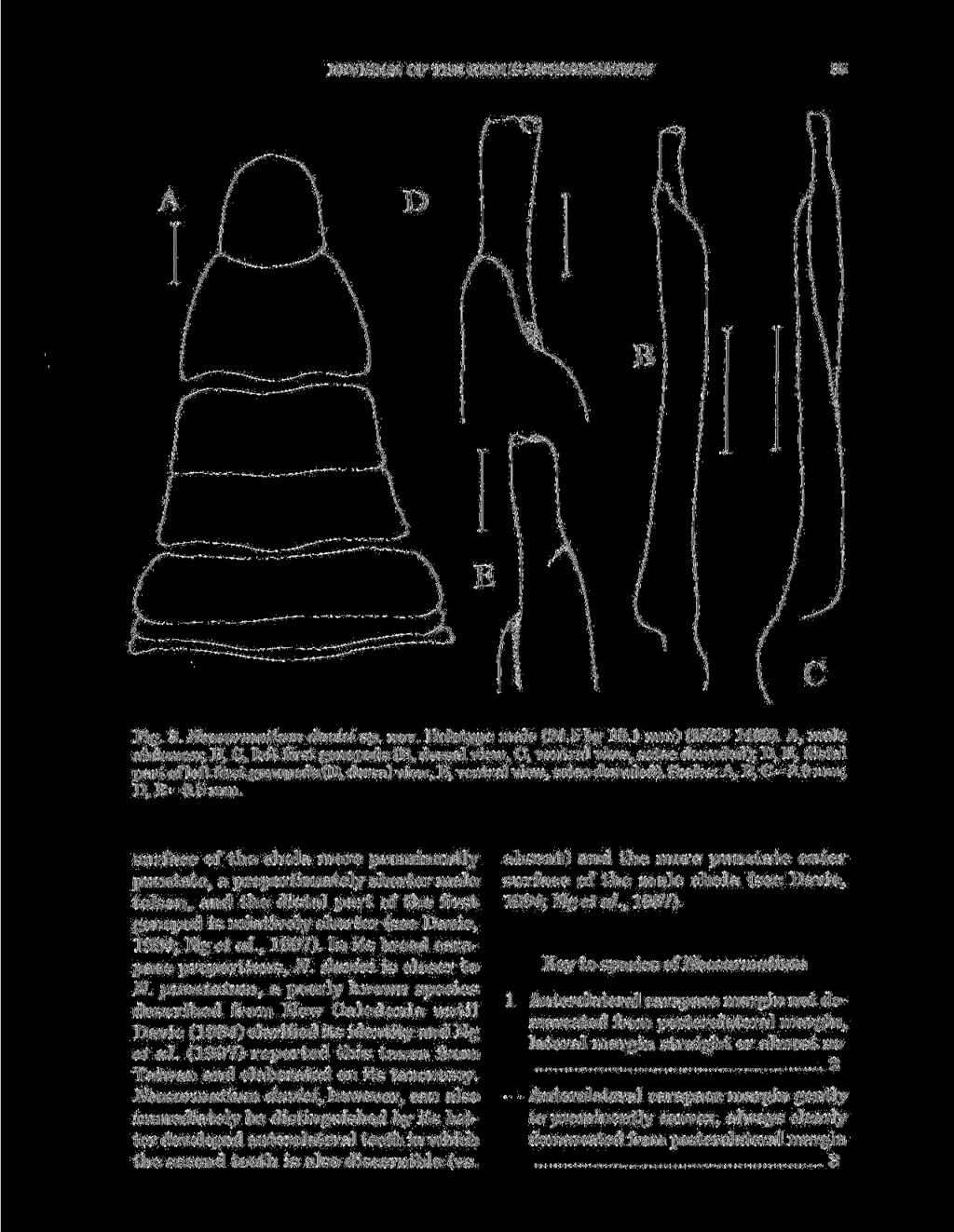 REVISION OF THE GENUS NEOSARMATIUM 35 Fig. 3. Neosarmatium daviei sp. nov. Holotype male (24.5 by 19.1 mm) (MZB 1482).
