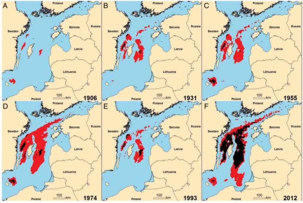 areas corresponds to about 1.7x10 6 t of macrofauna biomass, which would inhabit the Baltic otherwise (Karlson et al., 2002). Figure 4.