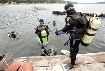 Recommended diving apparel Temperature High 80s 80º - 90º F 75º - 80ºF 70º - 80ºF 50º - 70ºF Below 50ºF What to wear - A Lycra body suit, a shorty,