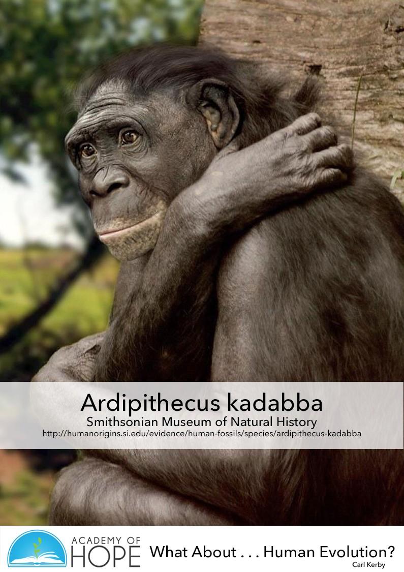 (01) Ardipithecus kadabba The Smithsonian Institution's Human Origins Program Ardipithecus kadabba Where Lived: Eastern Africa (Middle Awash Valley, Ethiopia) When Lived: Between about 5.8 and 5.