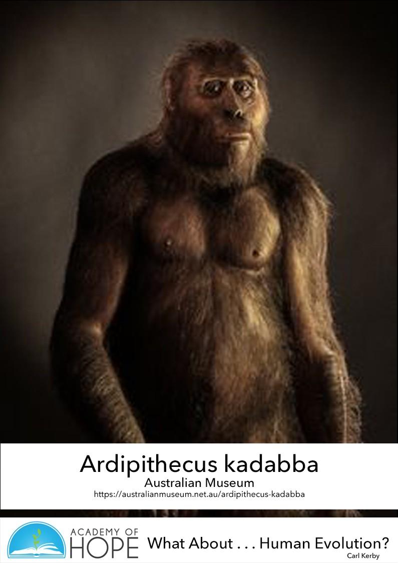 (02) Ardipithecus kadabba - Australian Museum This early hominin lived over 5 million years ago in East Africa. Background of discovery Age 5.8 to 5.