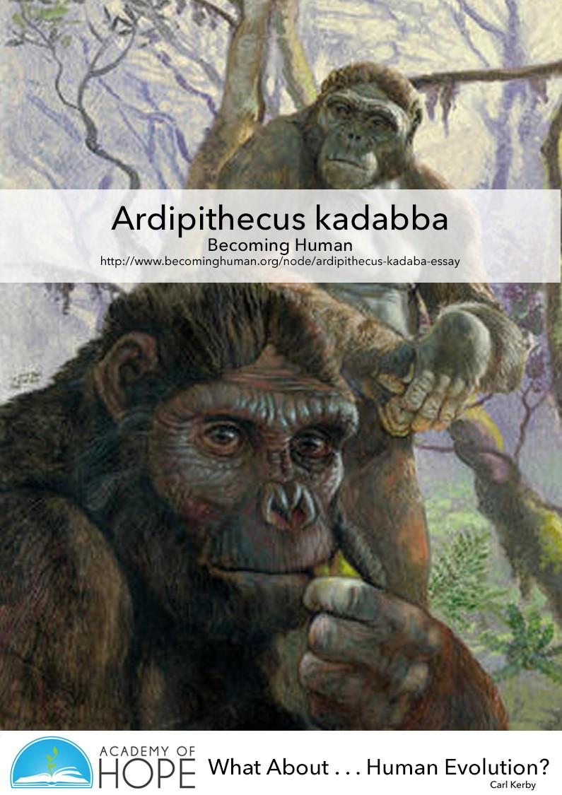 (03) Ardipithecus kadaba Essay Becoming Human Ardipithecus kadaba Ardipithecus kadabba is an early hominin species recovered from sediments in the Middle Awash Valley of Ethiopia dated to between 5.
