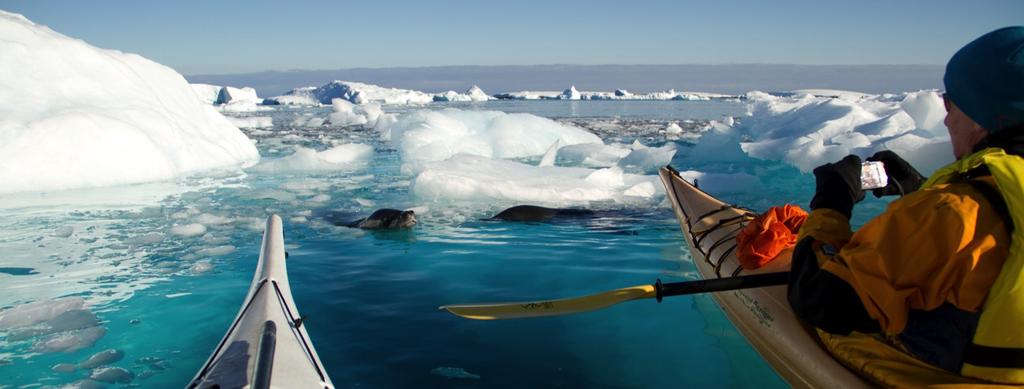 The program is available on all Classic Antarctica and Polar Circle trips of both Ocean Nova and