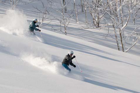 MULTI-RESORTS PROGRAM TIMES PICK-UP DURATION LUNCH 8:15am to 10:00am 6 hrs at resort ~ 45 mins FEATURES Private transport direct to/from your Myoko accommodation.