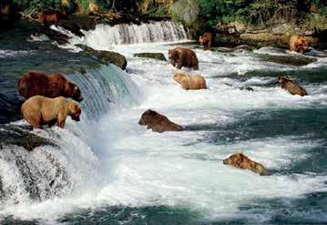 Lake Clark National Park and Katmai National Park are unmatched when it comes to a true wilderness