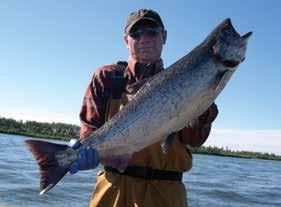 4 5 Sockeye Salmon June 27th through October - The Kvichak River
