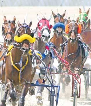 ..28 To find a track near you, see page 28 Dan Plesac has pitched against the world s best hitters, but his real passion is the sport of harness racing.