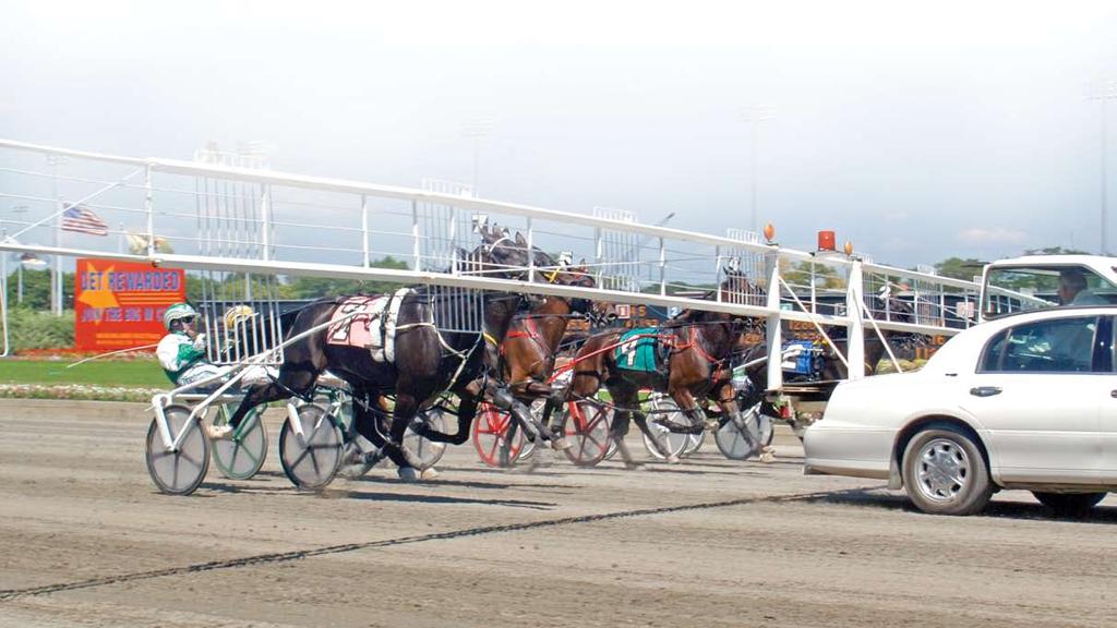 Who s Who at the Track Drivers, trainers and horses are the most prominent figures in the sport of harness racing.